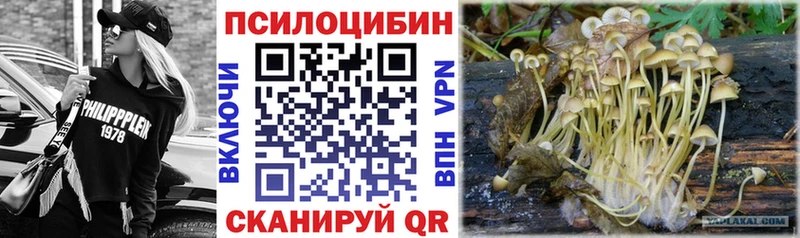 купить наркотики цена  Сольцы  Псилоцибиновые грибы прущие грибы 