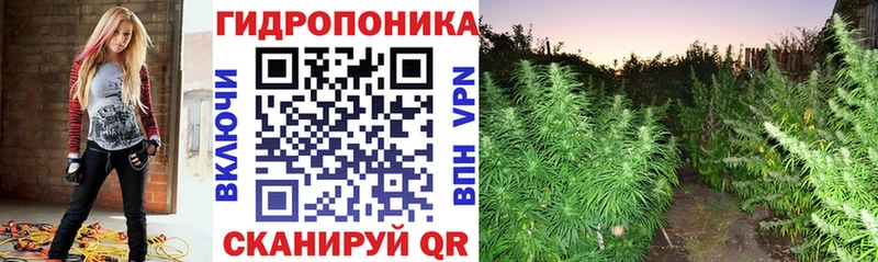 Конопля OG Kush  купить наркотики сайты  Сольцы 